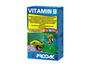 ויטמין B- Vitamin B- PRODAC