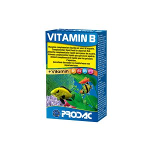 ויטמין B- Vitamin B- PRODAC