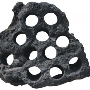 סלע מחורר שחור 30-40 ס"מ