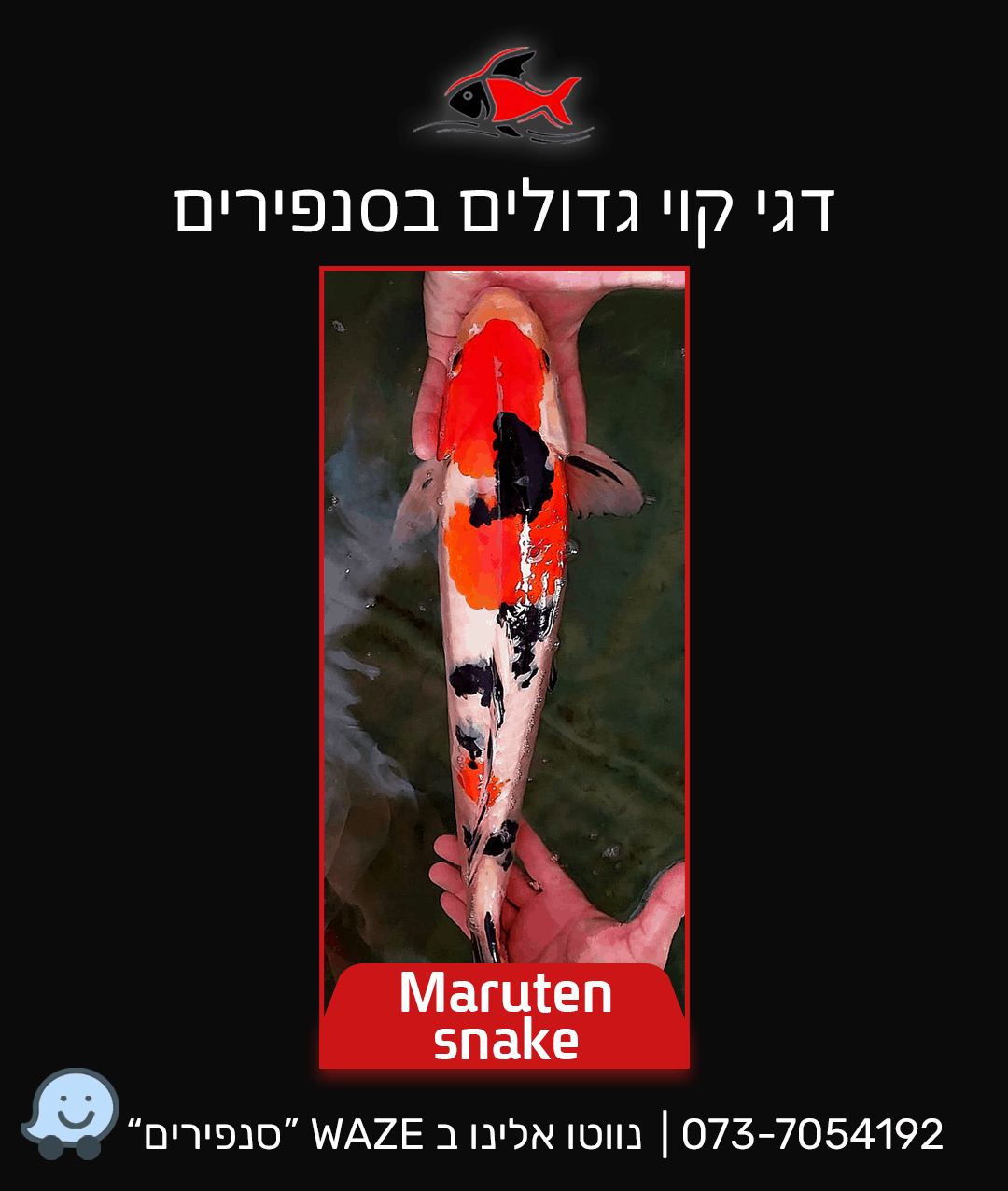 maruten-snake